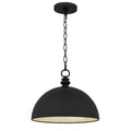 QUOIZEL, BRAYLON PENDANT, PENDANT LIGHT