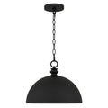QUOIZEL, BRAYLON PENDANT, PENDANT LIGHT