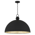 QUOIZEL, BRAYLON PENDANT, PENDANT LIGHT