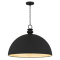 QUOIZEL, BRAYLON PENDANT, PENDANT LIGHT