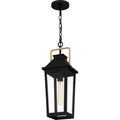 QUOIZEL, BUCKLEY OUTDOOR LANTERN, OUTDOOR CEILING LIGHTS