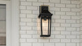 QUOIZEL, BUCKLEY OUTDOOR LANTERN, OUTDOOR CEILING LIGHTS