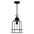 QUOIZEL, BOWLES PENDANT, PENDANT LIGHT