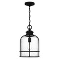 QUOIZEL, BOWLES PENDANT, PENDANT LIGHT