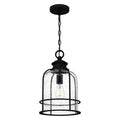 QUOIZEL, BOWLES PENDANT, PENDANT LIGHT