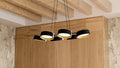 QUOIZEL, BYRNES ISLAND CHANDELIER, LINEAR LIGHT