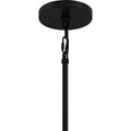 QUOIZEL, CASSIDY PENDANT, PENDANT LIGHT