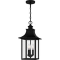 QUOIZEL, CHANCELLOR PENDANT, PENDANT LIGHT