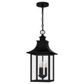 QUOIZEL, CHANCELLOR PENDANT, PENDANT LIGHT
