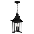 QUOIZEL, CHANCELLOR PENDANT, PENDANT LIGHT