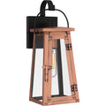 QUOIZEL, CAROLINA OUTDOOR LANTERN, OUTDOOR CEILING LIGHTS