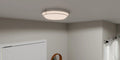 QUOIZEL, DUNBAR FLUSH MOUNT, FLUSH MOUNT CEILING LIGHTS