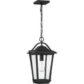 QUOIZEL, DARIUS OUTDOOR LANTERN, OUTDOOR CEILING LIGHTS