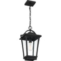 QUOIZEL, DARIUS OUTDOOR LANTERN, OUTDOOR CEILING LIGHTS