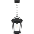 QUOIZEL, DARIUS OUTDOOR LANTERN, OUTDOOR CEILING LIGHTS