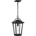 QUOIZEL, DARIUS OUTDOOR LANTERN, OUTDOOR CEILING LIGHTS