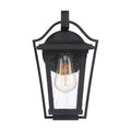 QUOIZEL, DARIUS OUTDOOR LANTERN, OUTDOOR CEILING LIGHTS