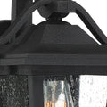 QUOIZEL, DARIUS OUTDOOR LANTERN, OUTDOOR CEILING LIGHTS