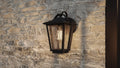 QUOIZEL, DARIUS OUTDOOR LANTERN, OUTDOOR CEILING LIGHTS