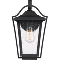 QUOIZEL, DARIUS OUTDOOR LANTERN, OUTDOOR CEILING LIGHTS