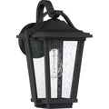 QUOIZEL, DARIUS OUTDOOR LANTERN, OUTDOOR CEILING LIGHTS
