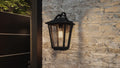 QUOIZEL, DARIUS OUTDOOR LANTERN, OUTDOOR CEILING LIGHTS