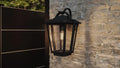 QUOIZEL, DARIUS OUTDOOR LANTERN, OUTDOOR CEILING LIGHTS