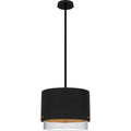 QUOIZEL, ELIO PENDANT, PENDANT LIGHT