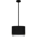 QUOIZEL, ELIO PENDANT, PENDANT LIGHT