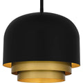 QUOIZEL, FRANKIE PENDANT, PENDANT LIGHT