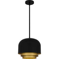 QUOIZEL, FRANKIE PENDANT, PENDANT LIGHT