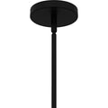 QUOIZEL, FRANKIE PENDANT, PENDANT LIGHT