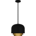 QUOIZEL, FRANKIE PENDANT, PENDANT LIGHT