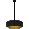 QUOIZEL, FRANKIE PENDANT, PENDANT LIGHT