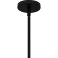 QUOIZEL, FRANKIE PENDANT, PENDANT LIGHT