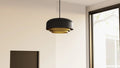 QUOIZEL, FRANKIE PENDANT, PENDANT LIGHT
