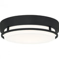 QUOIZEL, HALE FLUSH MOUNT, FLUSH MOUNT CEILING LIGHTS