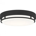QUOIZEL, HALE FLUSH MOUNT, FLUSH MOUNT CEILING LIGHTS