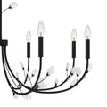 QUOIZEL, HEIRESS CHANDELIER, CHANDELIER LIGHT