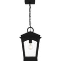 QUOIZEL, HUCK PENDANT, PENDANT LIGHT