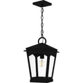 QUOIZEL, HUCK PENDANT, PENDANT LIGHT