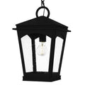 QUOIZEL, HUCK PENDANT, PENDANT LIGHT