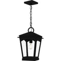 QUOIZEL, HUCK OUTDOOR LANTERN, OUTDOOR CEILING LIGHTS