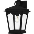 QUOIZEL, HUCK OUTDOOR LANTERN, OUTDOOR CEILING LIGHTS