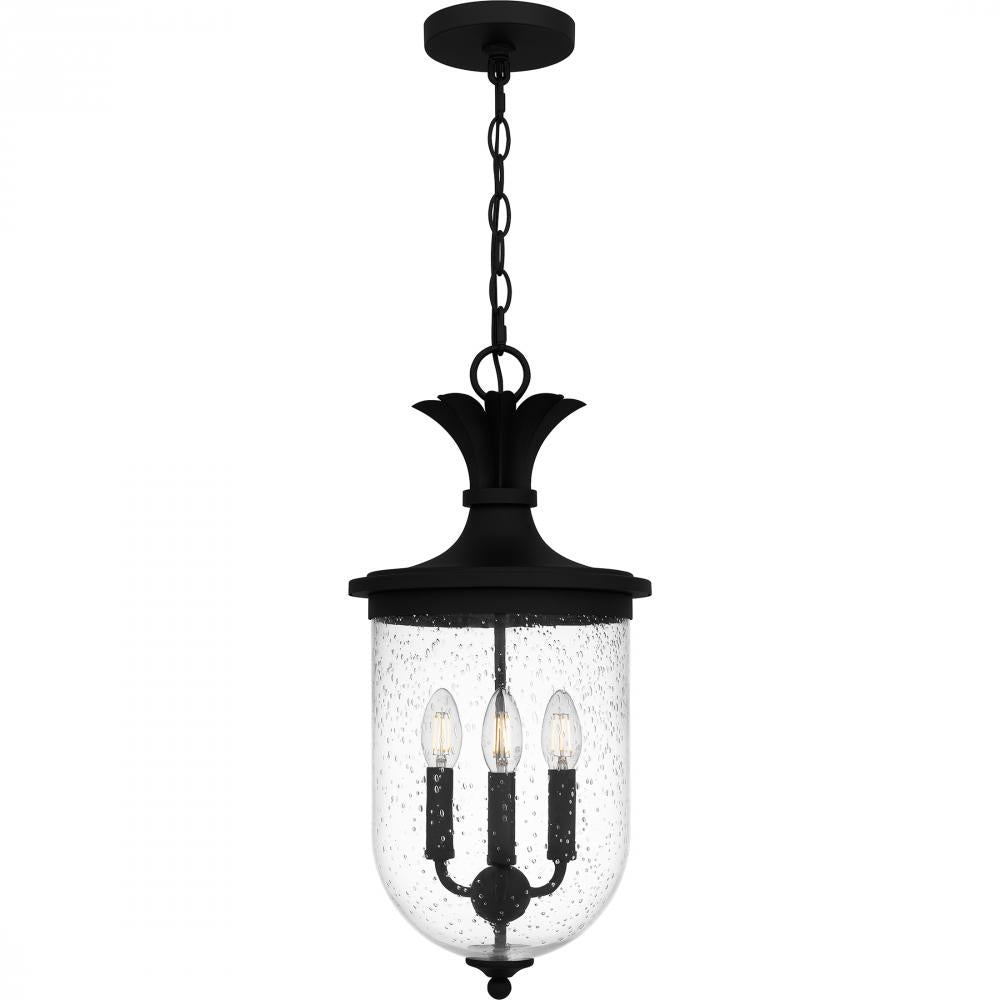 QUOIZEL, HAVANA OUTDOOR LANTERN, OUTDOOR CEILING LIGHTS