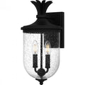 QUOIZEL, HAVANA OUTDOOR LANTERN, OUTDOOR CEILING LIGHTS