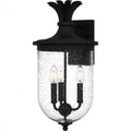 QUOIZEL, HAVANA OUTDOOR LANTERN, OUTDOOR CEILING LIGHTS