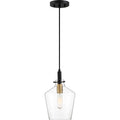 QUOIZEL, JUNE PENDANT, PENDANT LIGHT
