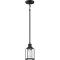 QUOIZEL, LUDLOW PENDANT, PENDANT LIGHT