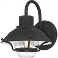 QUOIZEL, LAVALIER OUTDOOR LANTERN, OUTDOOR WALL LIGHTS